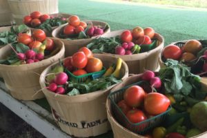 Is a CSA farm share right for your family?