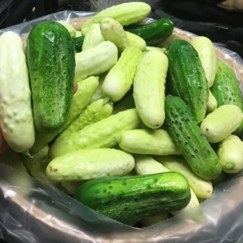 Cucumber Mix
