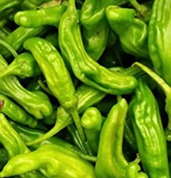Shishito Peppers
