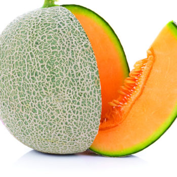 Cantaloupe Melons