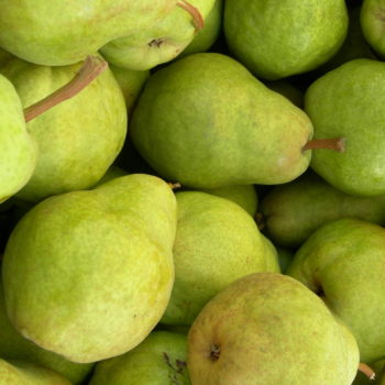 Bartlett Pears - 1/2 Bushel