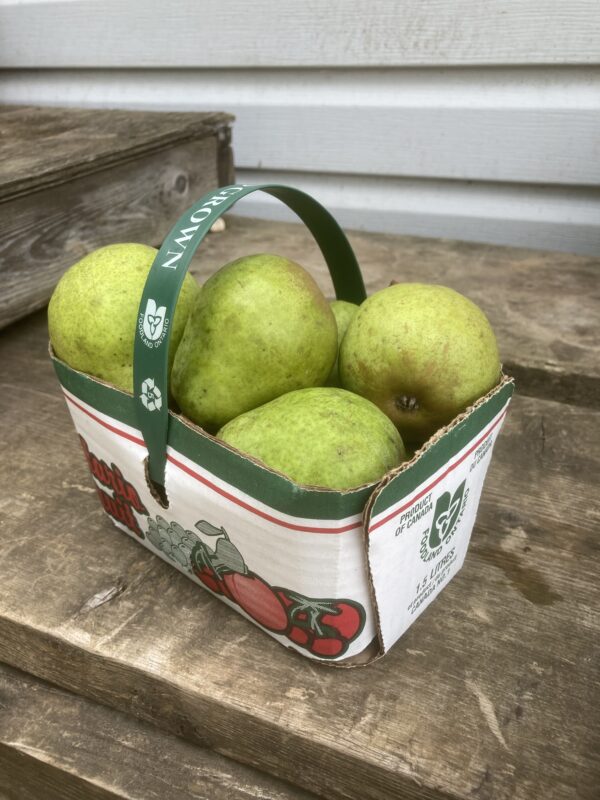 Bartlett Pears