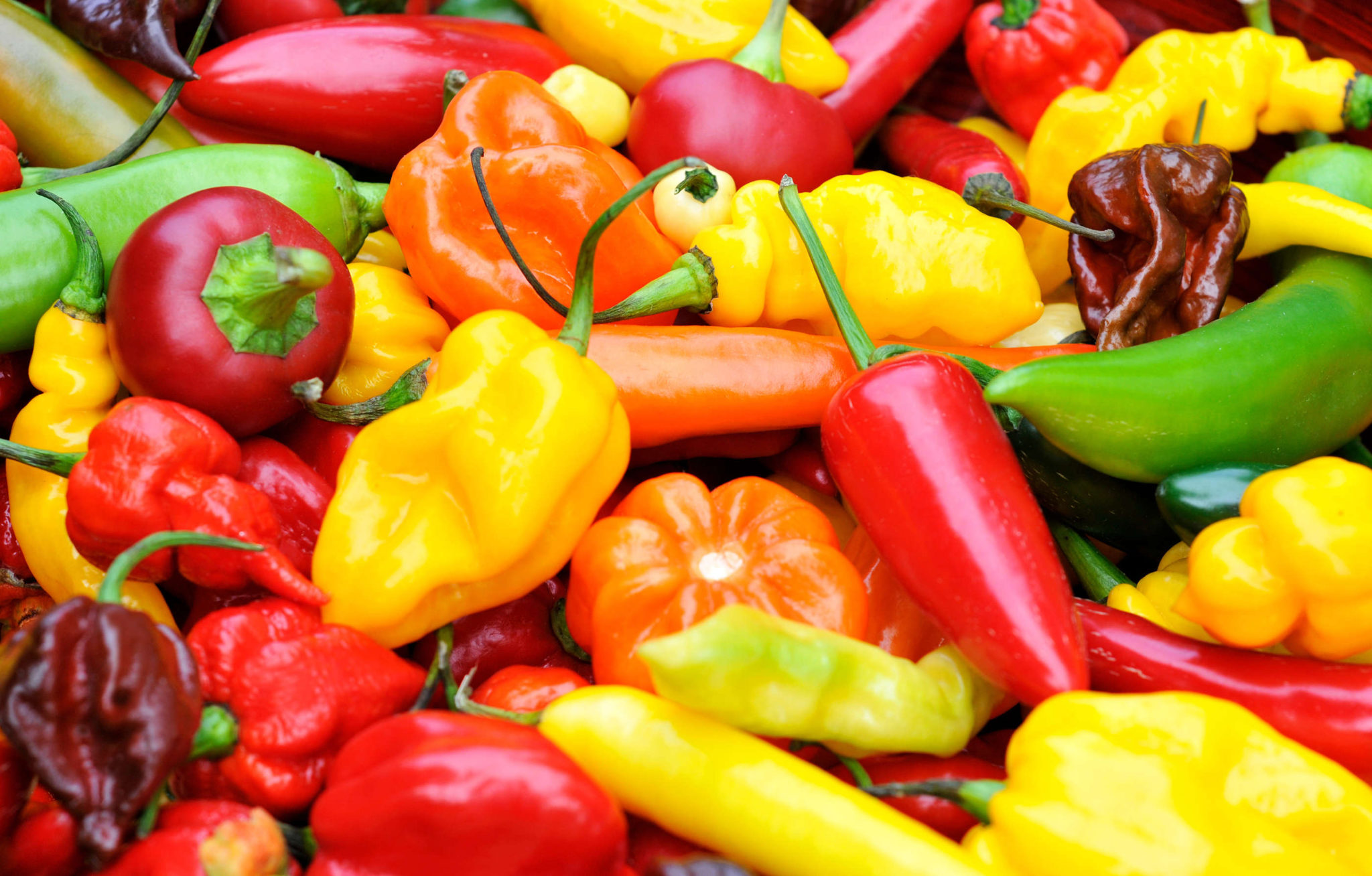 Super Hot Peppers Rumar Farm