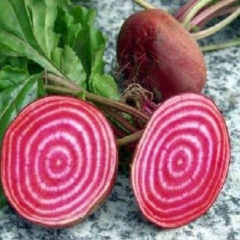 Chioggia Beets