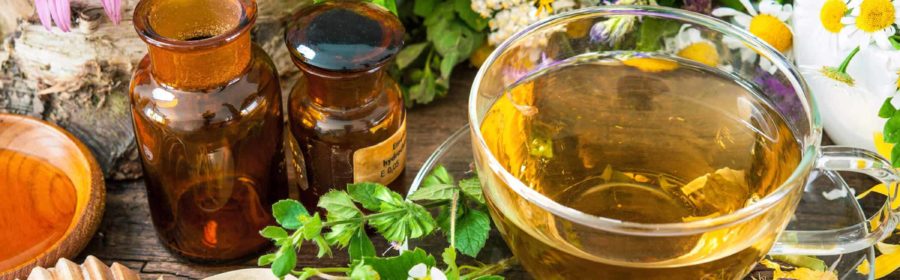 Grow a Herbal Tea Garden