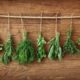 How to Dry and Store Rumar Farm Herbs