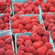 The Raspberries are Ripening at Rumar Farm