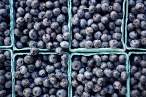 It’s Blueberry Season at Rumar Farm
