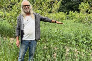 Unleashing the Power of Cover Crops: Organic Farming’s Secret Weapon