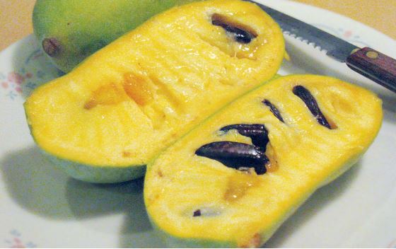 All About Pawpaw’s: Nature's Hidden Gem for Fruit Lovers