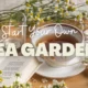 Grow an Herbal Tea Garden