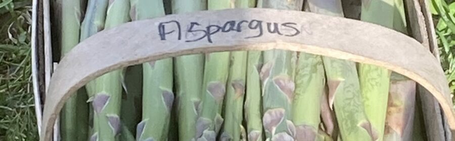 It’s Asparagus Season at Rumar Farm