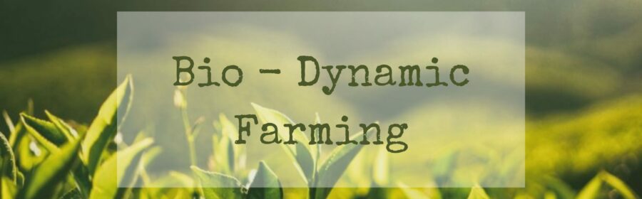 Rumar Farm Talks About Biodynamic Farming