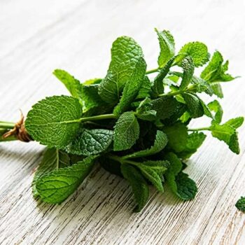Mint