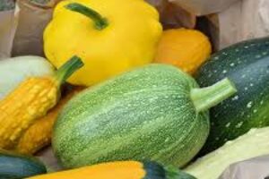 Savouring Summer: The Bountiful Delights of Fresh Summer Squash