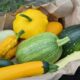 Savouring Summer: The Bountiful Delights of Fresh Summer Squash