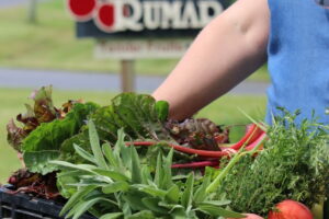 September at Rumar Organic Farm: A Harvest of Abundance