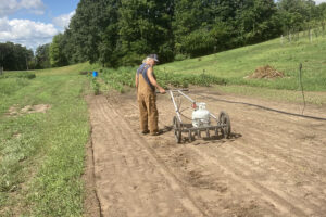 Late Summer Plantings at Rumar Farm