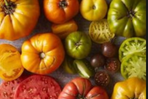 The Art of Seed Saving: A Deep Dive into Heirloom Tomatoes