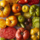 The Art of Seed Saving: A Deep Dive into Heirloom Tomatoes