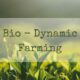 Rumar Farm – Beyond Organic: The Holistic Approach of Biodynamic Farming for Sustainable Agriculture