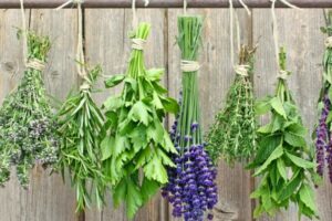 Rumar Farm Dried Herbs and the Magic They Bring to Your Kitchen