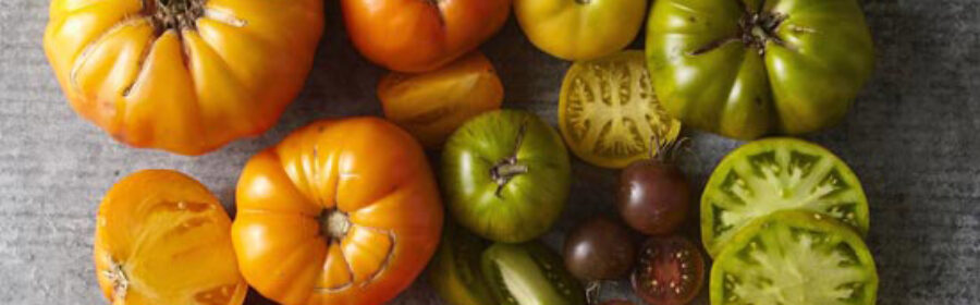 Grow the Flavor of the Past – Heirloom Tomato Plants Now Available!