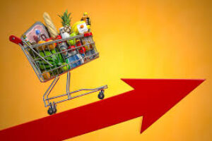 Beat the High Cost of Food with Rumar Farm