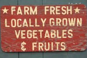 Eat Local Seasonal Food with Rumar Farm