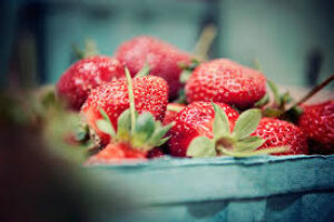 CSA Week Three