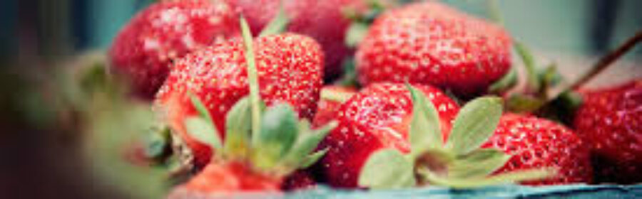 CSA Week Three