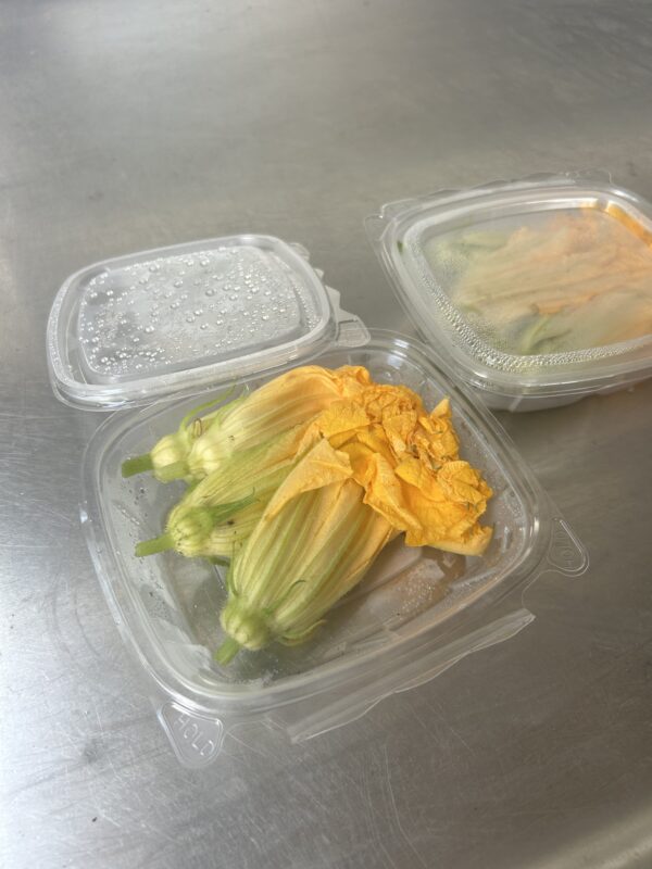 Squash Blossoms