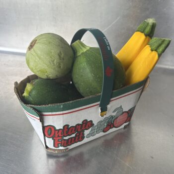 Summer Squash - basket