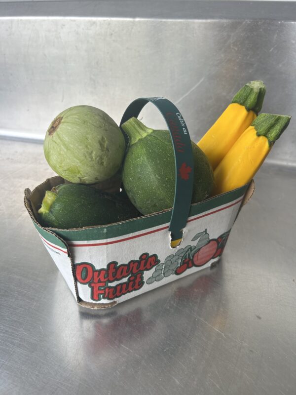 Summer Squash - basket
