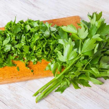 Lovage Herb