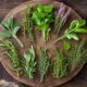 The Power of Fresh Herbs: A Rumar Farm Perspective