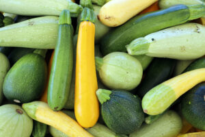 From Our Fields: Celebrating Summer Squash Season