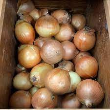 Yellow Onions