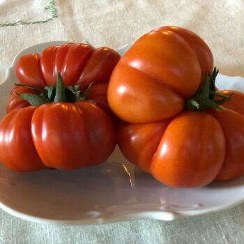 Heirloom Tomato singles