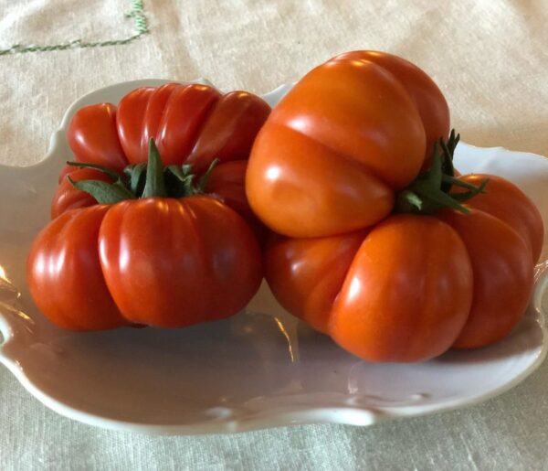 Heirloom Tomato singles