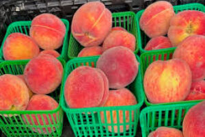 Certified Organic Peaches – Rumar Style
