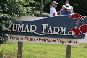 Late Summer Plantings at Rumar Farm