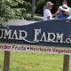 Late Summer Plantings at Rumar Farm