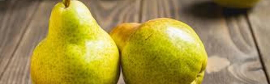 Bartlett Pears: A Farmer’s Perspective on Why They’re Worth Choosing